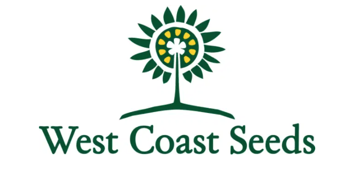 Screen Shot 2021-01-30 at 1.43.56 AM