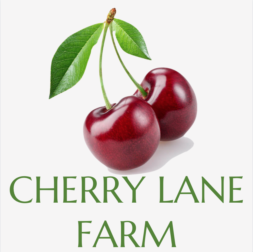 Screen Shot 2021-01-30 at 3.42.26 PM