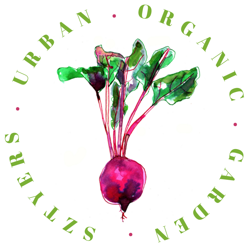 Screen Shot 2021-01-31 at 9.34.02 PM